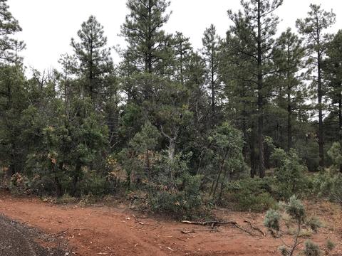 6139 E Starlight Ridge Rd, Lakeside, AZ 85929 photo 5