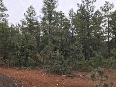 6139 E Starlight Ridge Rd, Lakeside, AZ 85929 photo 6