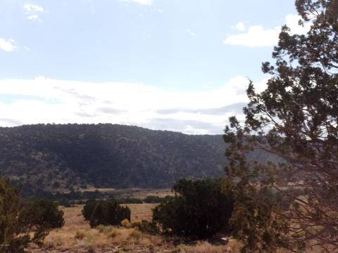 4357 El Dorado Rd, Snowflake, AZ 85937 photo 1