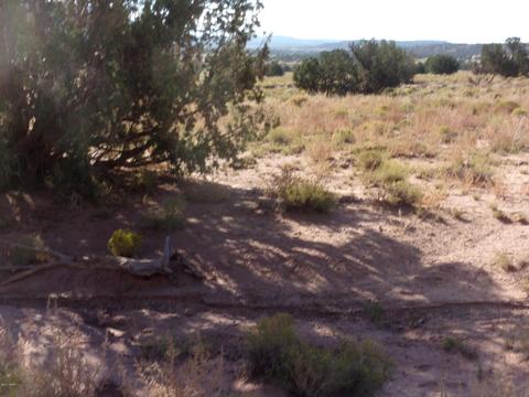 4357 El Dorado Rd, Snowflake, AZ 85937 photo 2