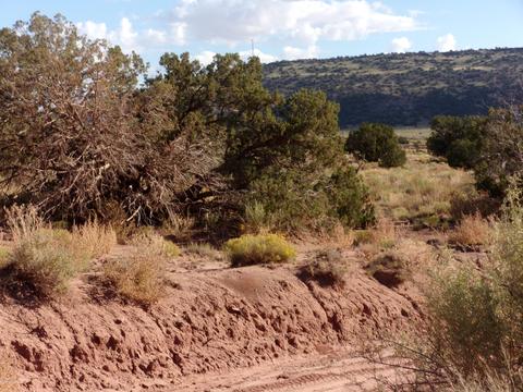 4357 El Dorado Rd, Snowflake, AZ 85937 photo 6