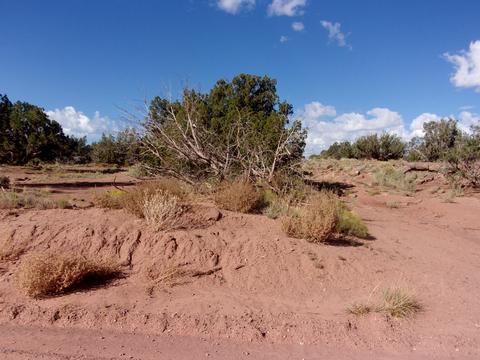 4357 El Dorado Rd, Snowflake, AZ 85937 photo 7