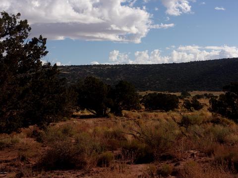 4357 El Dorado Rd, Snowflake, AZ 85937 photo 3