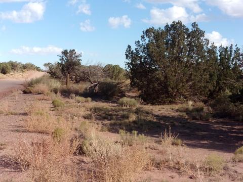 4357 El Dorado Rd, Snowflake, AZ 85937 photo 4