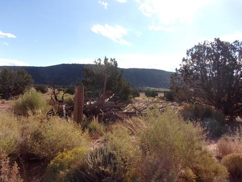 4357 El Dorado Rd, Snowflake, AZ 85937 photo 5