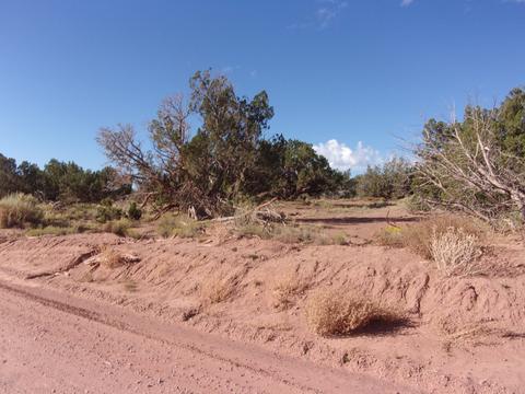 4357 El Dorado Rd, Snowflake, AZ 85937 photo 8