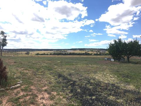 2525 Walnut Dr, Taylor, AZ 85939 photo 14