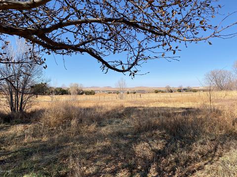 270 W Central Ave, Eagar, AZ 85925 photo 4