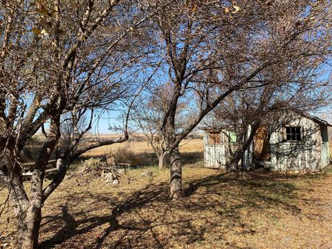 270 W Central Ave, Eagar, AZ 85925 photo 3
