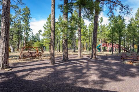 2700 Hooks Way, Overgaard, AZ 85933 photo 6