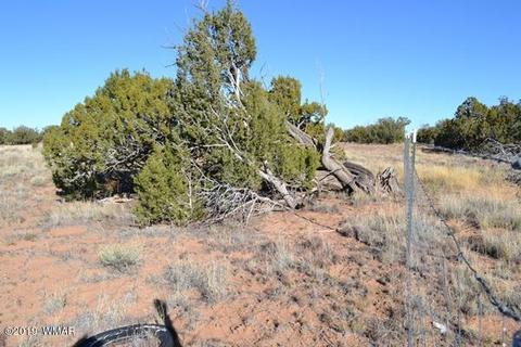 3858 Hidden Ranch Rd, Snowflake, AZ 85937 photo 15