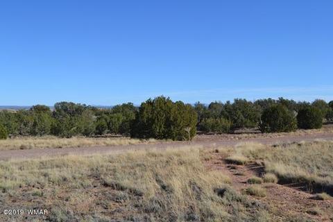 3858 Hidden Ranch Rd, Snowflake, AZ 85937 photo 2
