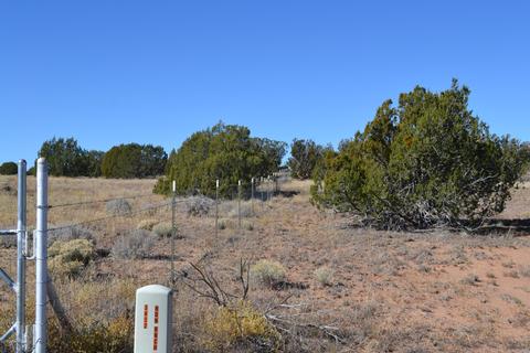 3858 Hidden Ranch Rd, Snowflake, AZ 85937 photo 17