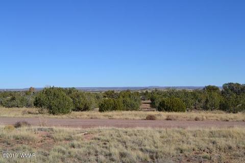 3858 Hidden Ranch Rd, Snowflake, AZ 85937 photo 3