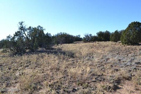 3858 Hidden Ranch Rd, Snowflake, AZ 85937 photo 9