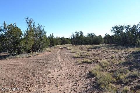 3858 Hidden Ranch Rd, Snowflake, AZ 85937 photo 12