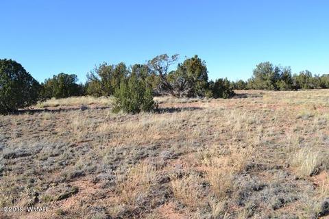 3858 Hidden Ranch Rd, Snowflake, AZ 85937 photo 7