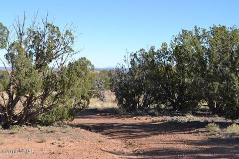 3858 Hidden Ranch Rd, Snowflake, AZ 85937 photo 16