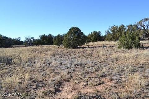 3858 Hidden Ranch Rd, Snowflake, AZ 85937 photo 8