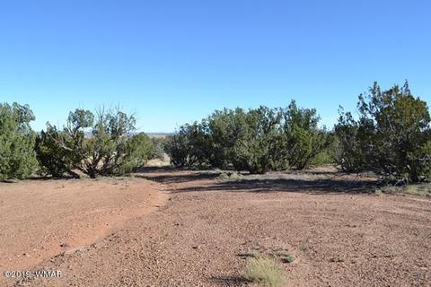 3858 Hidden Ranch Rd, Snowflake, AZ 85937 photo 11