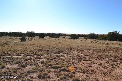 3858 Hidden Ranch Rd, Snowflake, AZ 85937 photo 14
