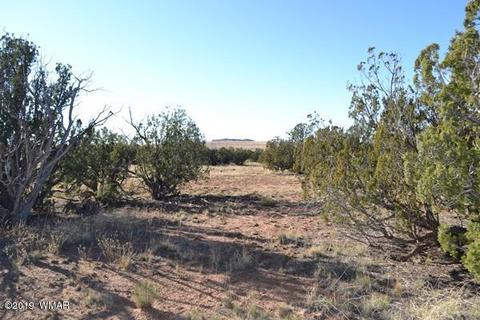 3858 Hidden Ranch Rd, Snowflake, AZ 85937 photo 13