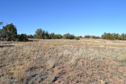 3858 Hidden Ranch Rd, Snowflake, AZ 85937 photo 6