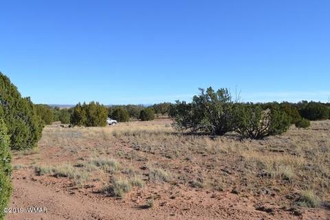 3858 Hidden Ranch Rd, Snowflake, AZ 85937 photo 10