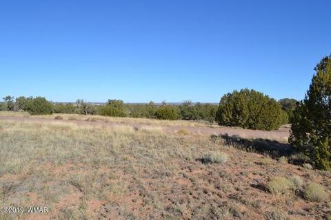 3858 Hidden Ranch Rd, Snowflake, AZ 85937 photo 4