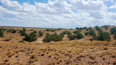 5443 Dusty Rd, Snowflake, AZ 85937 photo 9