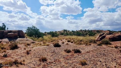 5443 Dusty Rd, Snowflake, AZ 85937 photo 4