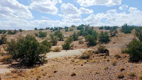 5443 Dusty Rd, Snowflake, AZ 85937 photo 20