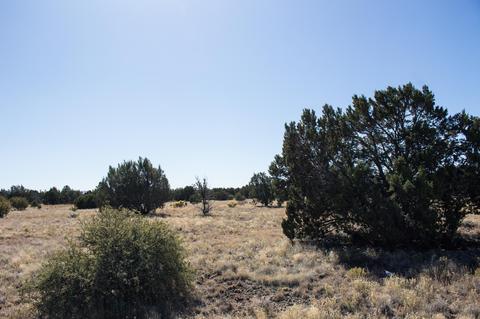 8947 Tomahawk Trl, Show Low, AZ 85901 photo 4