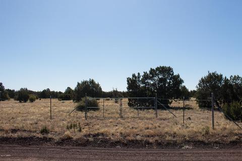 8947 Tomahawk Trl, Show Low, AZ 85901 photo 2
