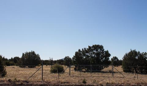 8947 Tomahawk Trl, Show Low, AZ 85901 photo 6