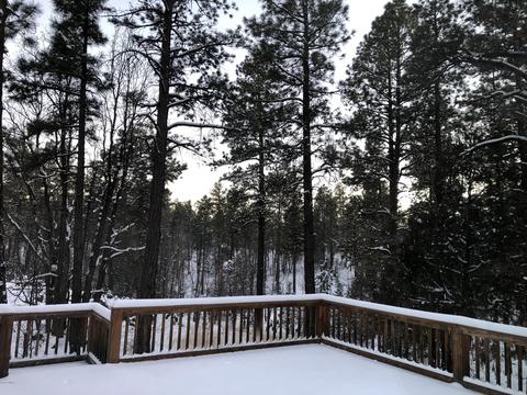 939 W Apache Ln, Lakeside, AZ 85929 photo 31