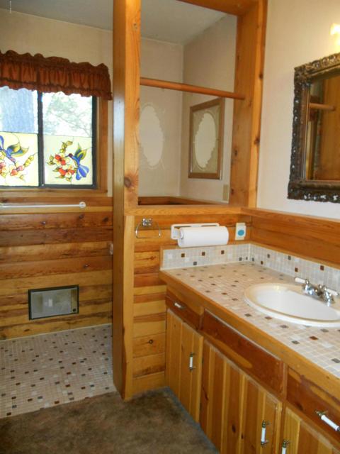 2871 Deer Trl, Overgaard, AZ 85933 photo 14
