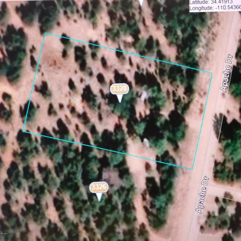 3328 Apache Dr, Overgaard, AZ 85933 photo 1