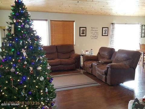 851 Genevieve Dr, Eagar, AZ 85925 photo 4