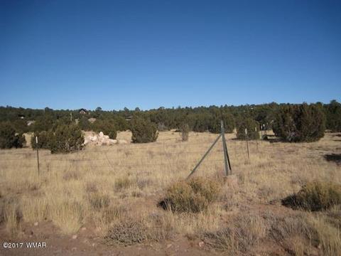 3399 Tonto Dr, Overgaard, AZ 85933 photo 6