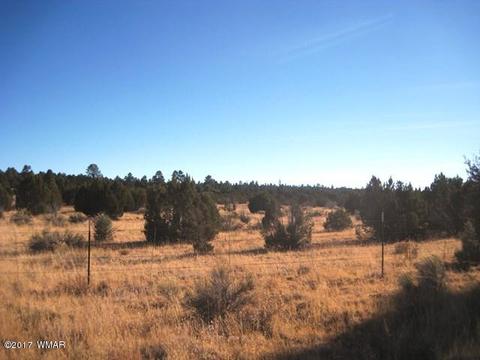 3399 Tonto Dr, Overgaard, AZ 85933 photo 2