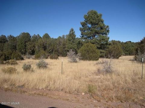 3399 Tonto Dr, Overgaard, AZ 85933 photo 5