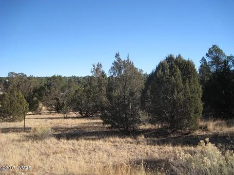3399 Tonto Dr, Overgaard, AZ 85933 photo 8