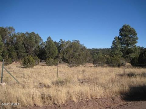 3399 Tonto Dr, Overgaard, AZ 85933 photo 3