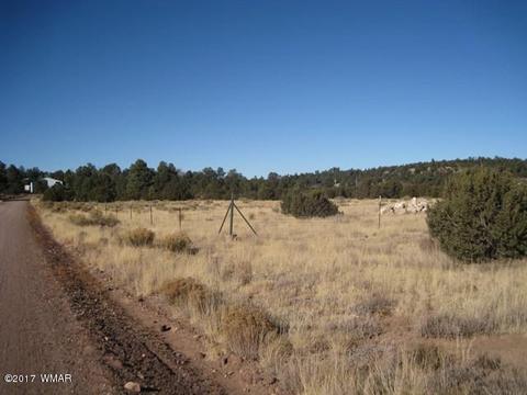 3399 Tonto Dr, Overgaard, AZ 85933 photo 7