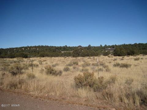 3399 Tonto Dr, Overgaard, AZ 85933 photo 4