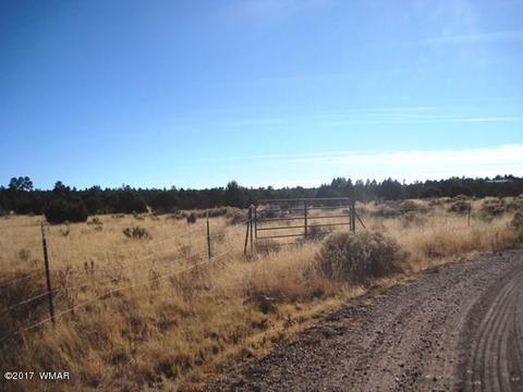 3399 Tonto Dr, Overgaard, AZ 85933 photo 1