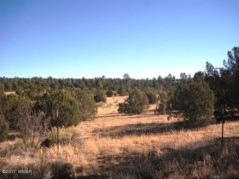 3399 Tonto Dr, Overgaard, AZ 85933 photo 10