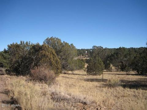 3399 Tonto Dr, Overgaard, AZ 85933 photo 9