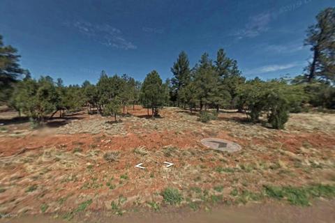 2864 Constellation Ln, Overgaard, AZ 85933 photo 4